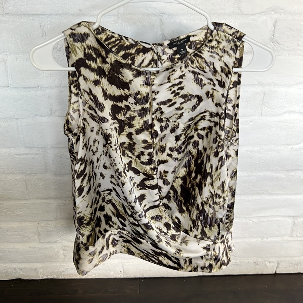 Ann Taylor ~ silky blouse